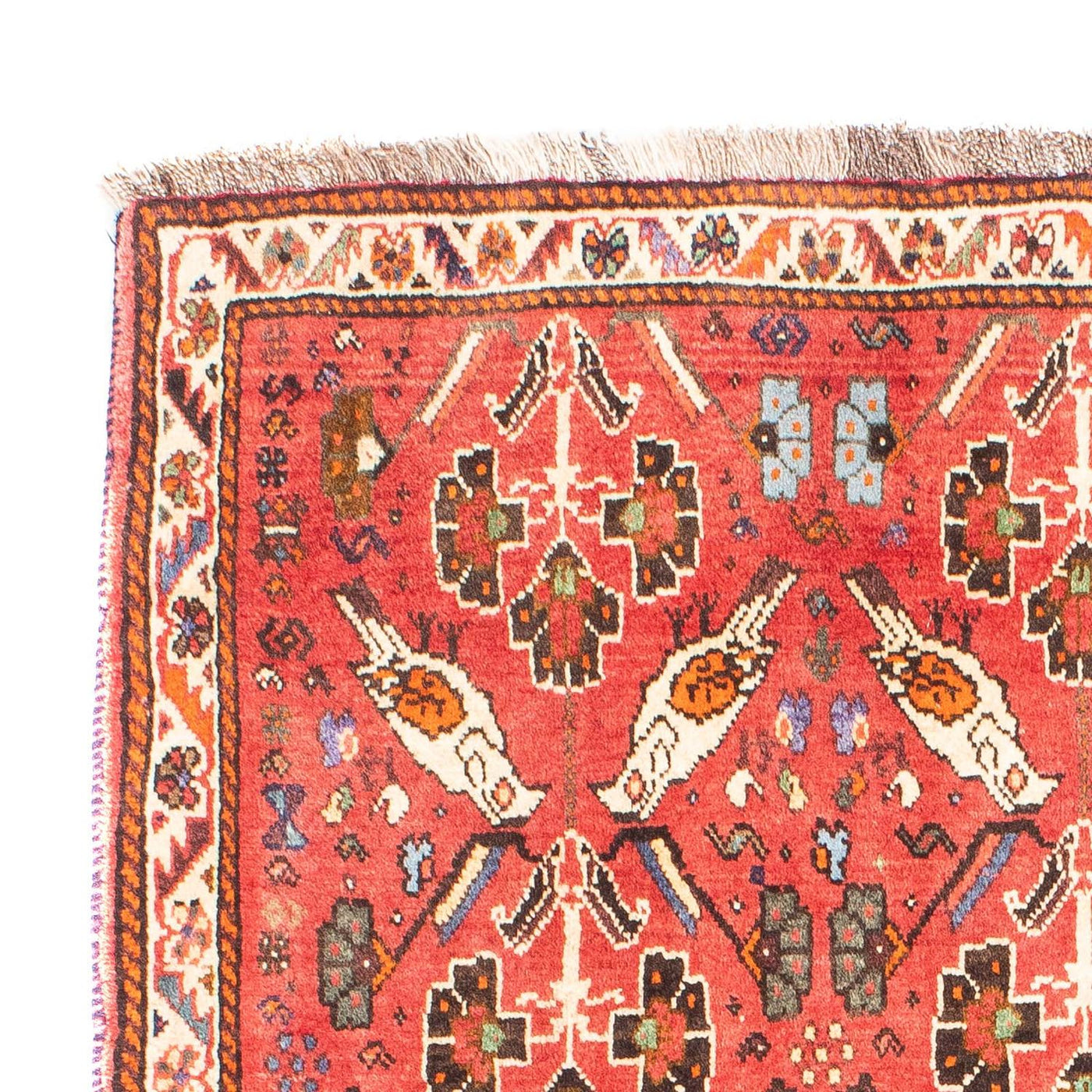Shiraz Rug 162x117cm - Persian Rugs