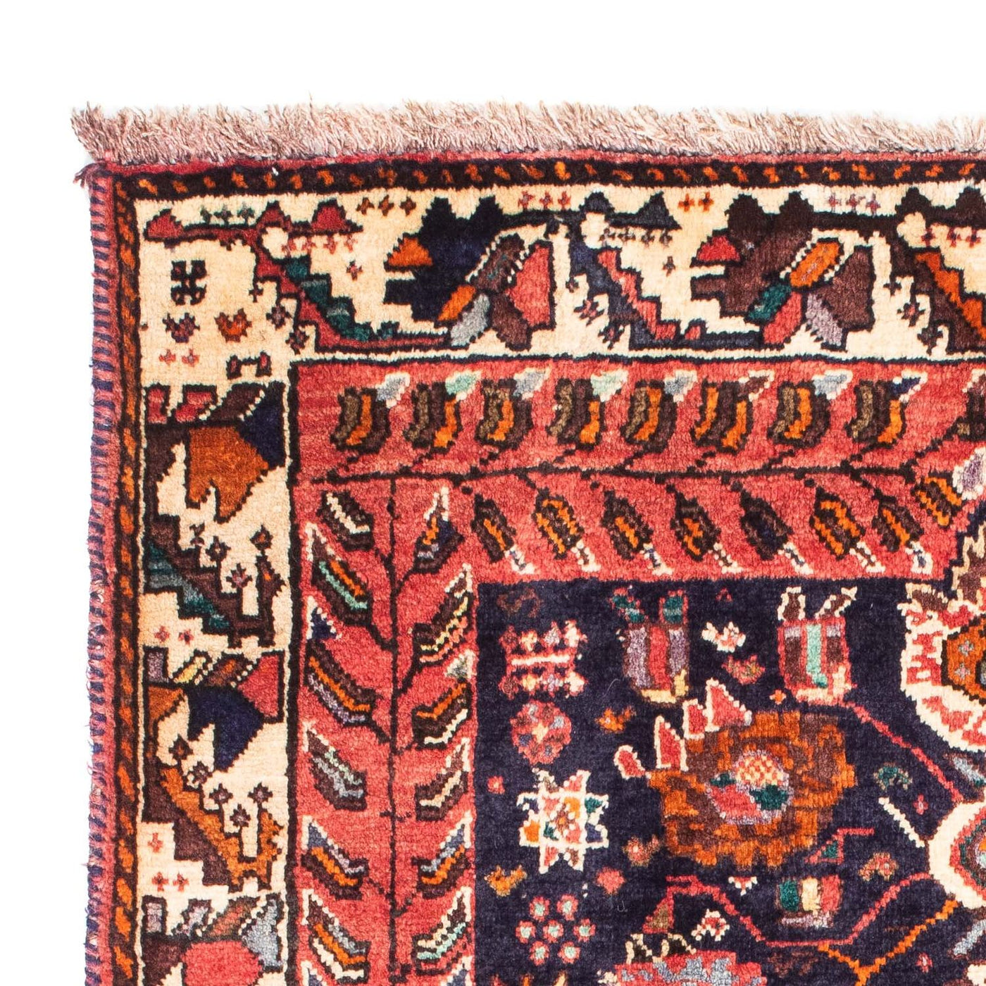 Shiraz Rug 165x115cm - Persian Rugs