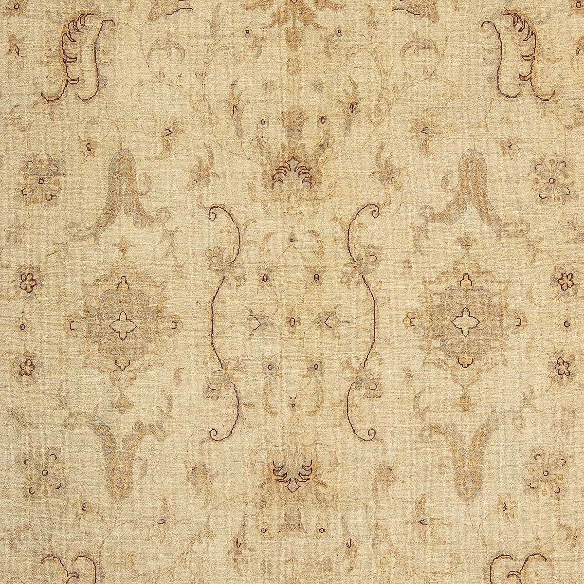 Ziegler Rug - 295 x 234 cm - beige