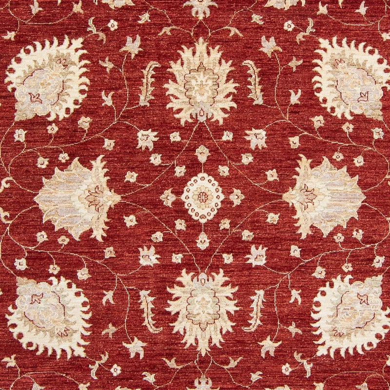 Ziegler Rug - 298 x 240 cm - dark red