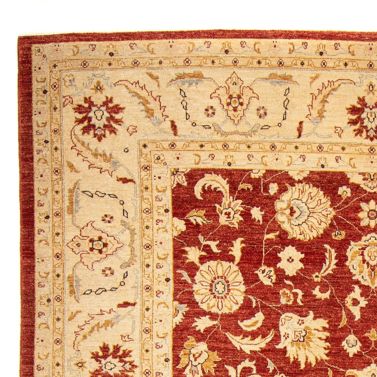Ziegler Rug 277x350cm - Oriental Rug