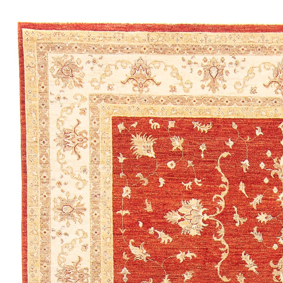 Ziegler Rug - 341 x 250 cm - rust