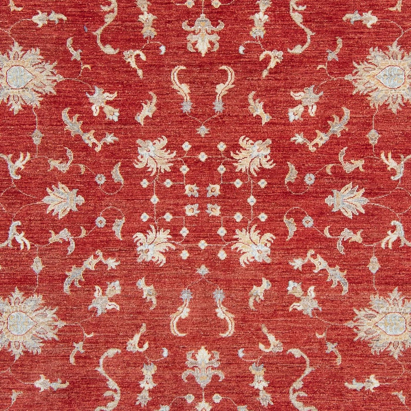 Ziegler Rug - 292 x 242 cm - red