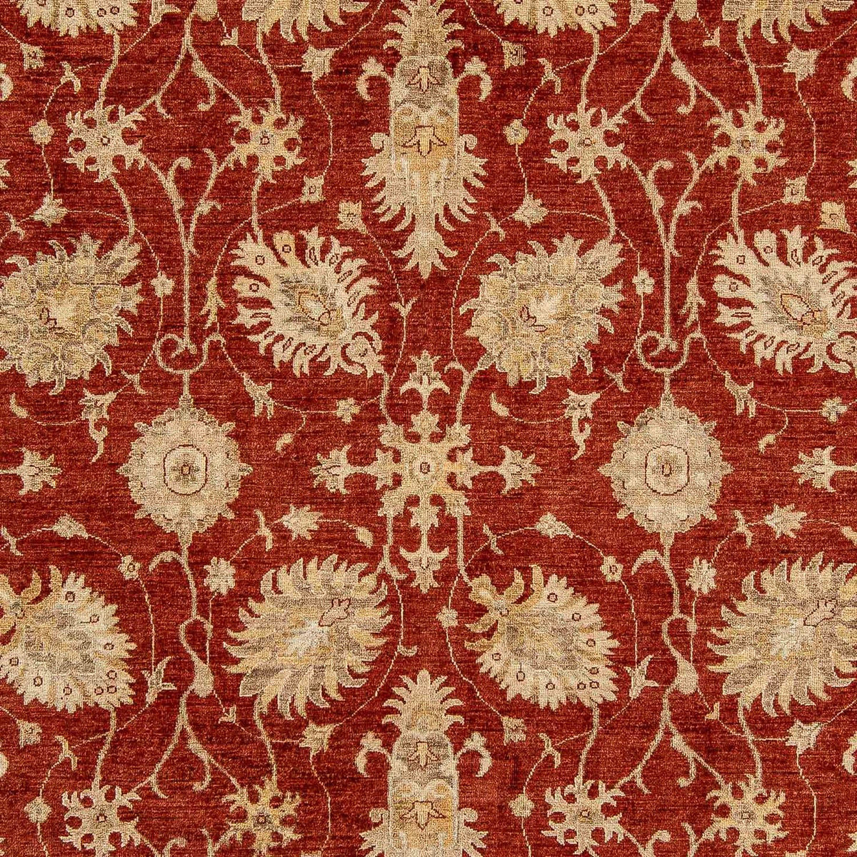 Ziegler Rug - 295 x 249 cm - dark red