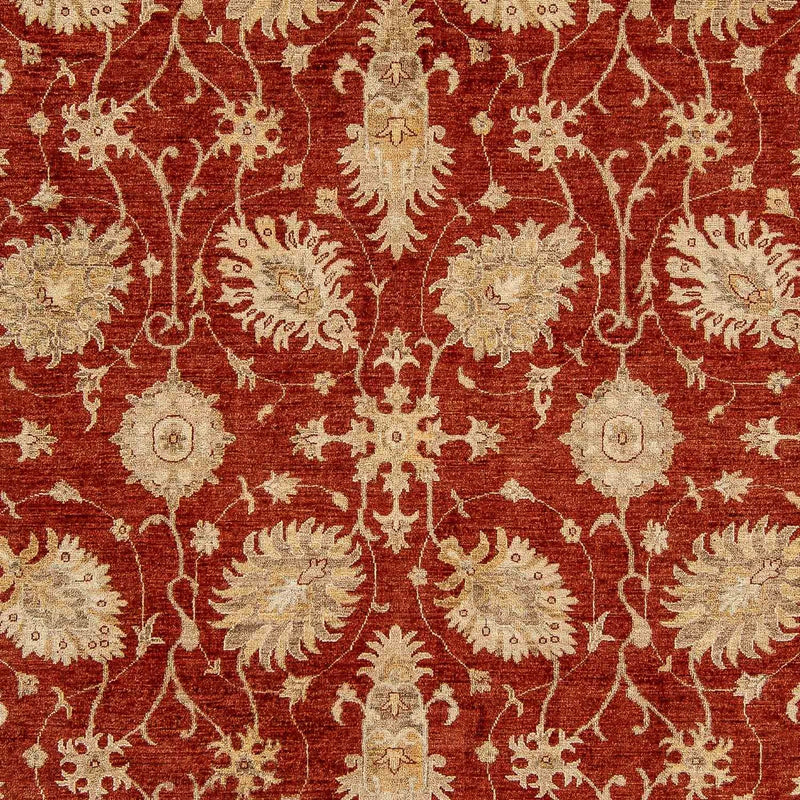 Ziegler Rug - 295 x 249 cm - dark red