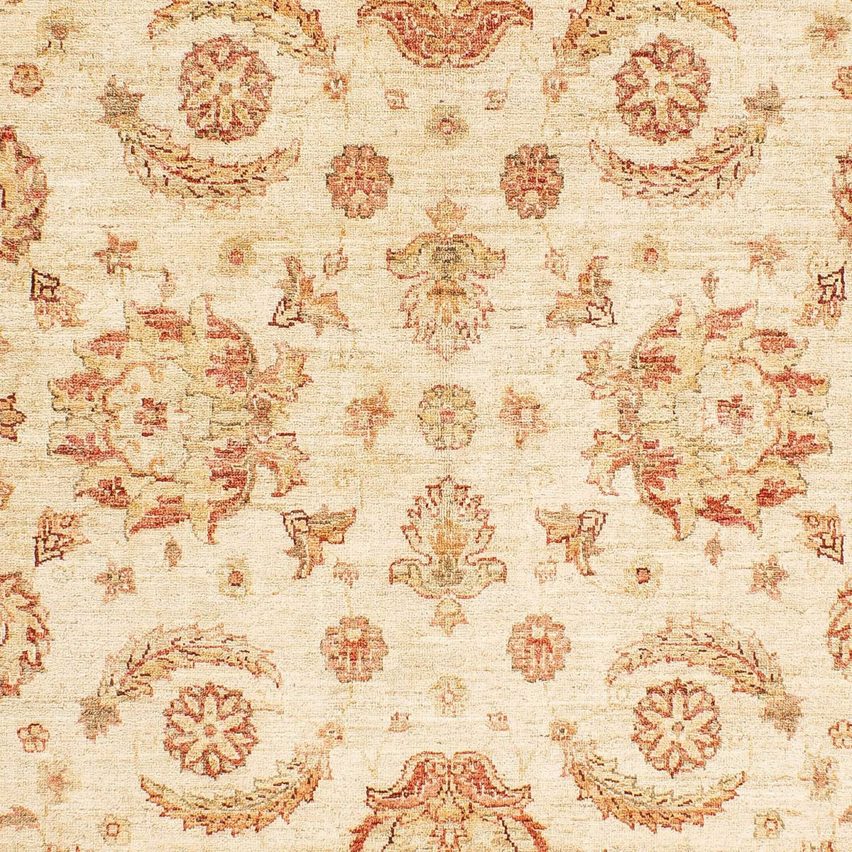 Ziegler Rug - 241 x 162 cm - beige