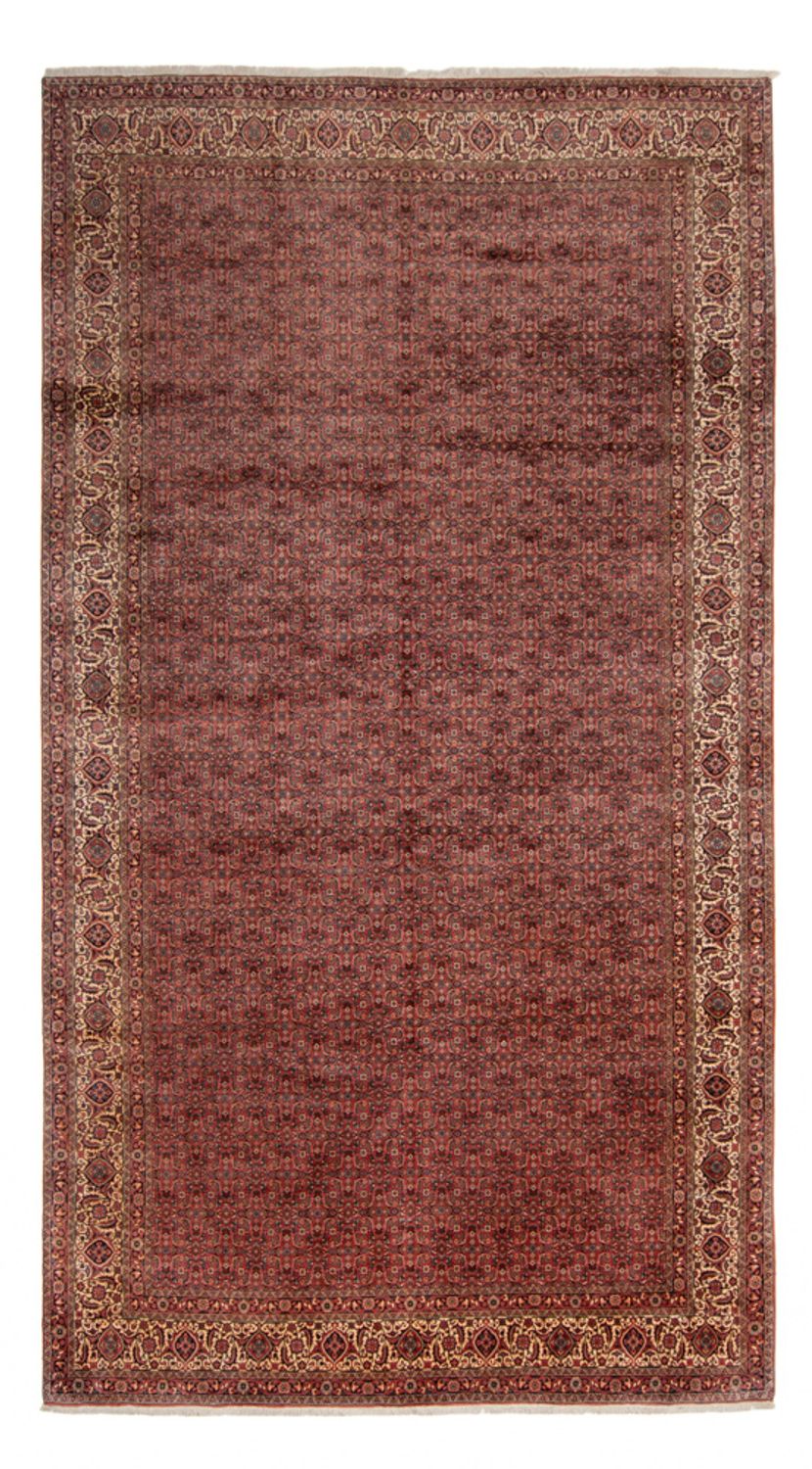Perser Rug - Bidjar - 482 x 256 cm - brown
