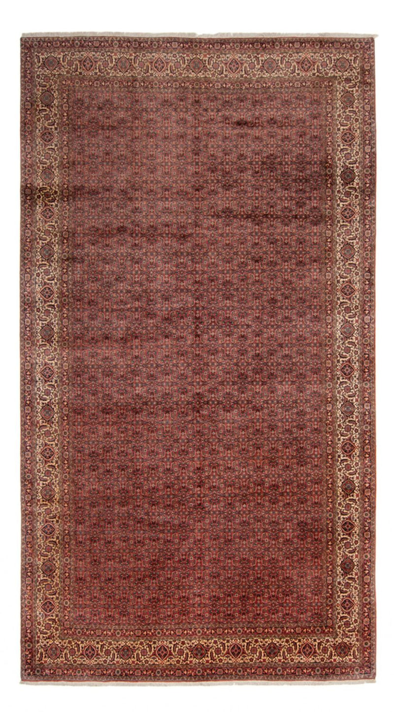 Perser Rug - Bidjar - 482 x 256 cm - brown