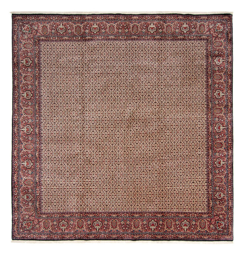 Perser Rug - Bidjar square  - 366 x 348 cm - beige