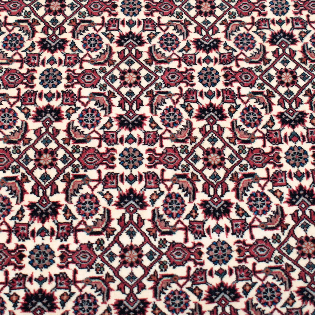 Perser Rug - Bidjar square  - 366 x 348 cm - beige