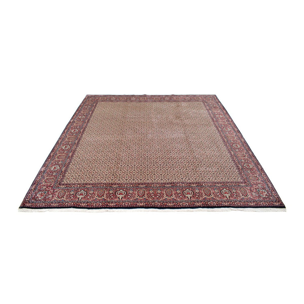 Perser Rug - Bidjar square  - 366 x 348 cm - beige