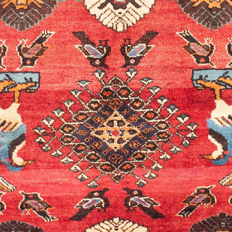 Shiraz Rug 168x112cm - Persian Rugs