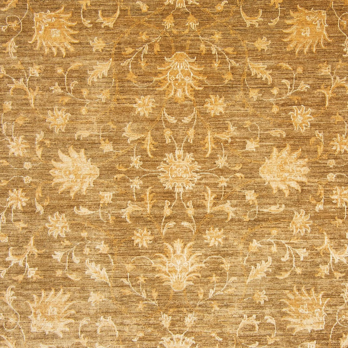 Ziegler Rug - 360 x 271 cm - gold