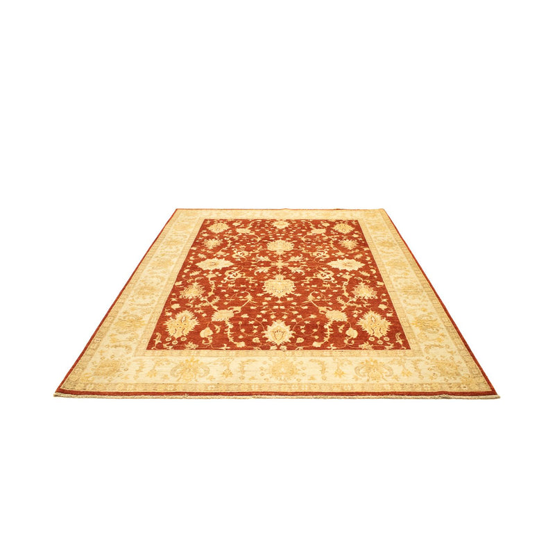 Ziegler Rug - 251 x 198 cm - dark red