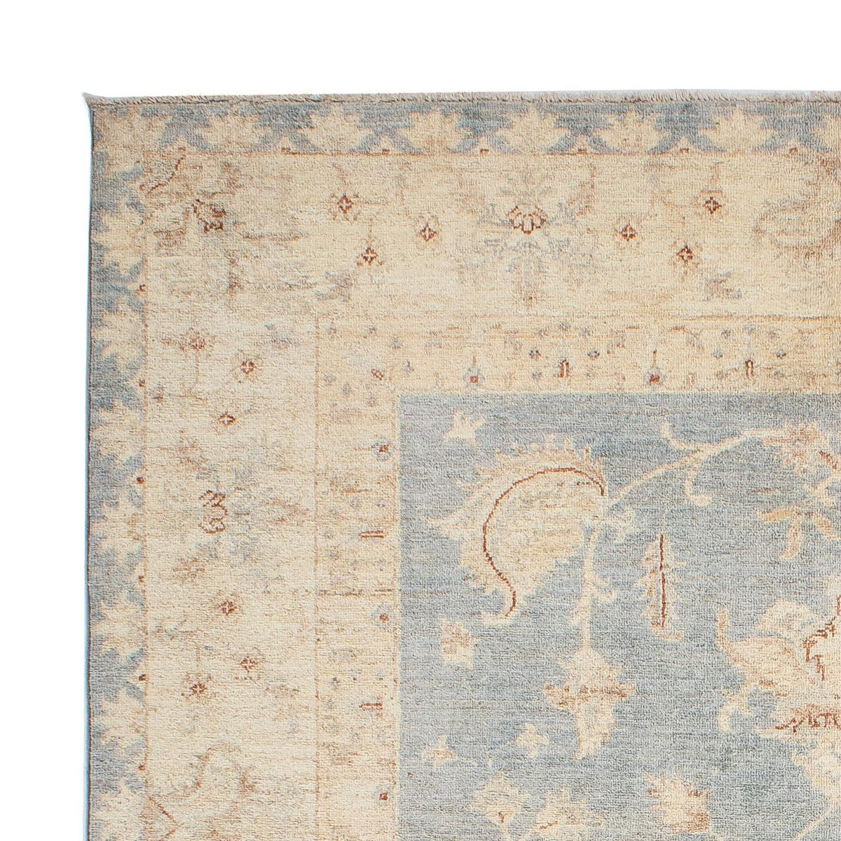 Ziegler Rug - 251 x 170 cm - light blue