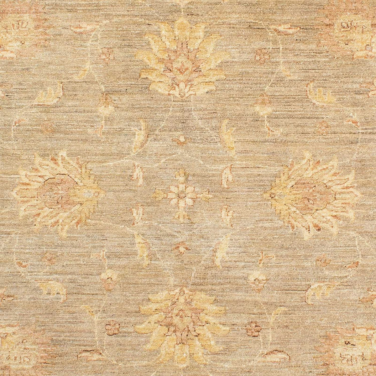 Ziegler Rug - 241 x 175 cm - beige