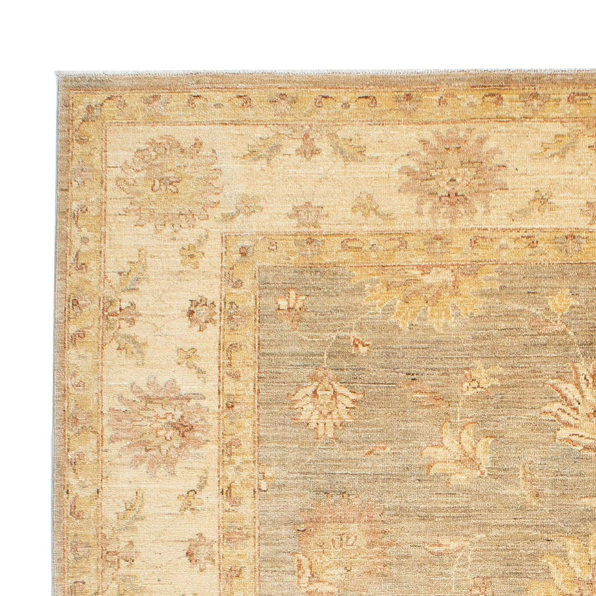 Ziegler Rug - 241 x 175 cm - beige
