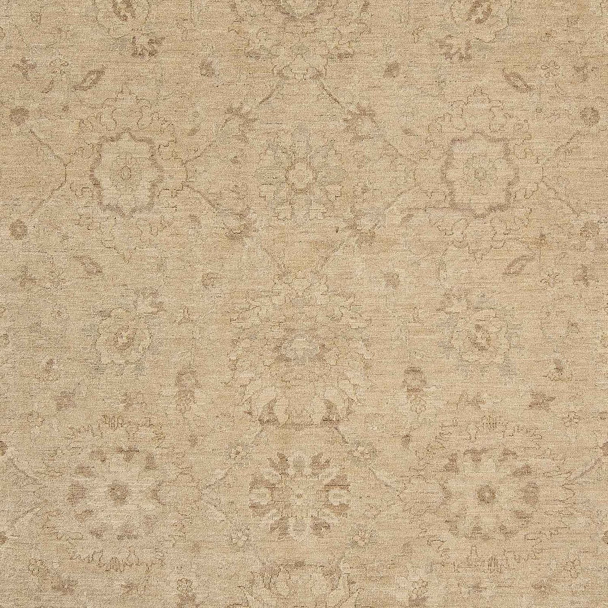 Ziegler Rug - 304 x 253 cm - light brown