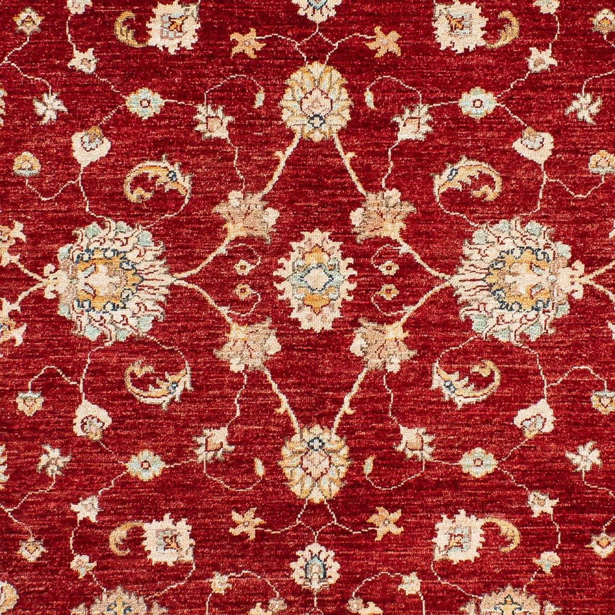 Ziegler Rug - 233 x 168 cm - dark red