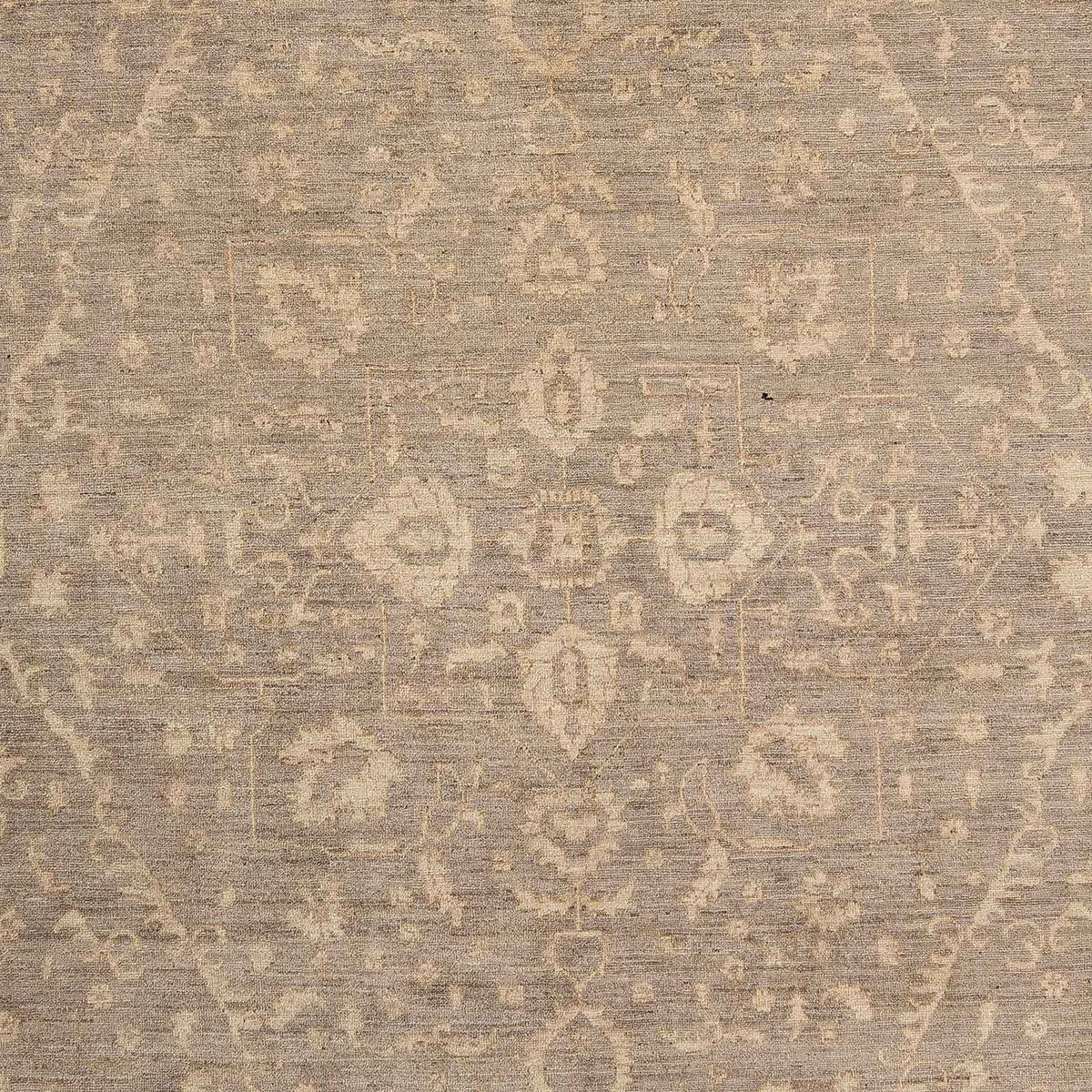 Ziegler Rug - 303 x 261 cm - light brown