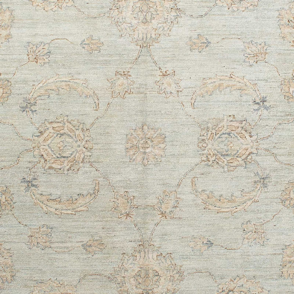 Ziegler Rug - 237 x 166 cm - beige