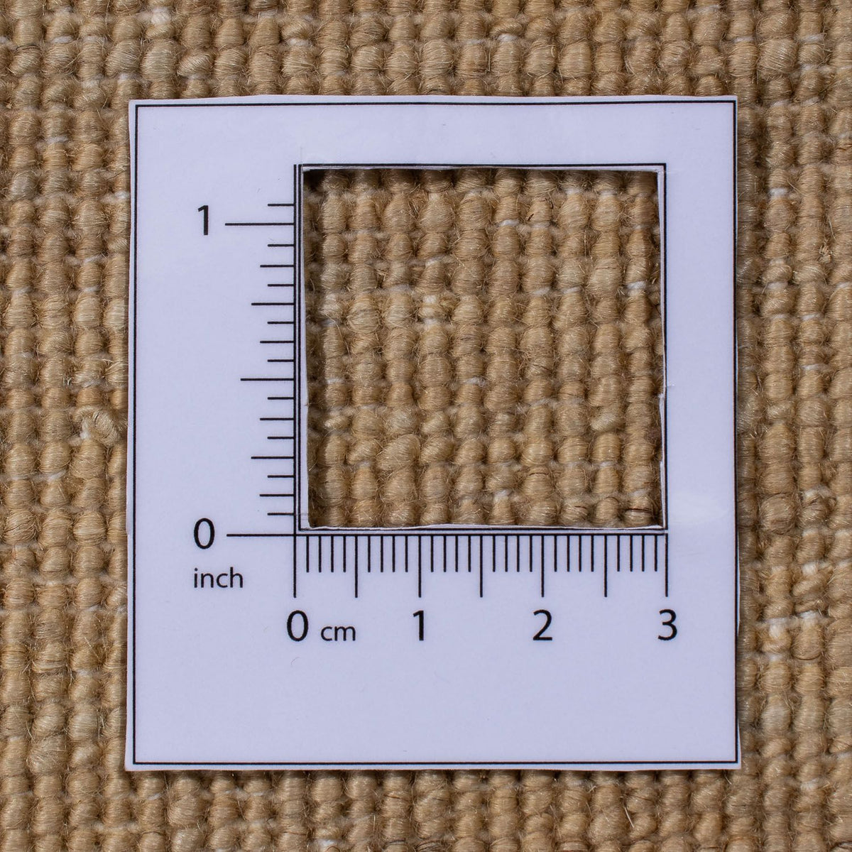 Ziegler Rug - 291 x 203 cm - light brown