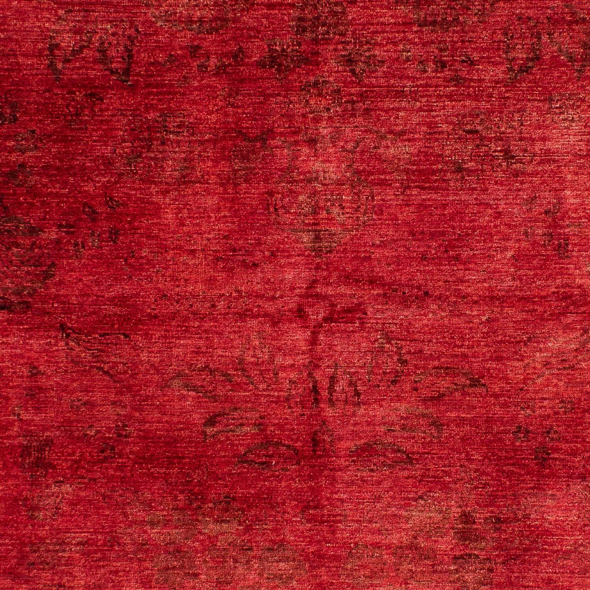 Ziegler Rug - 236 x 169 cm - dark red
