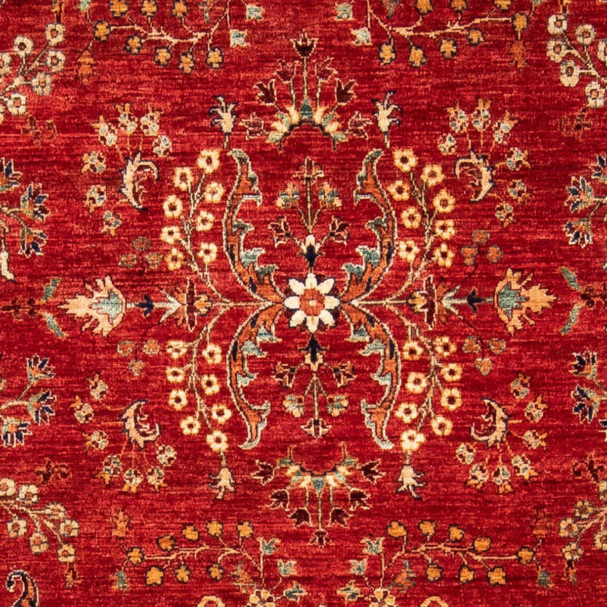 Ziegler Rug - 238 x 166 cm - dark red