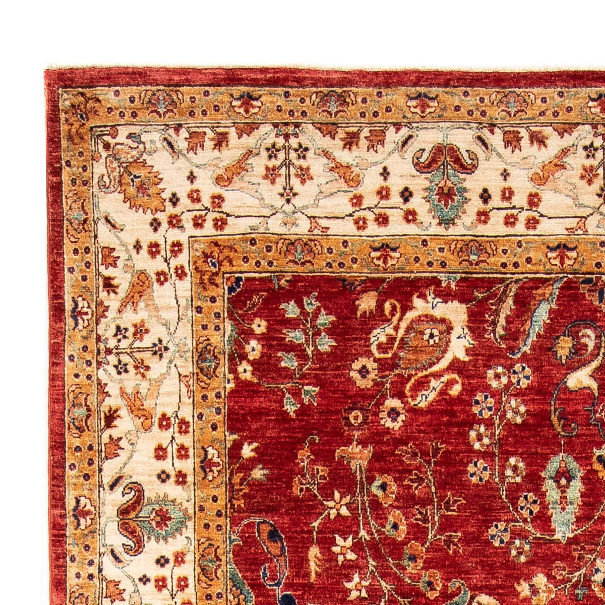 Ziegler Rug - 238 x 166 cm - dark red