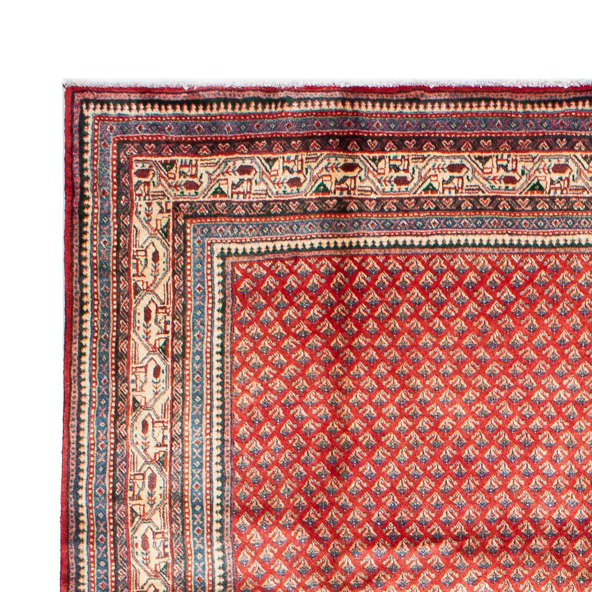 Mir Rug 211x308cm - Persian Rugs