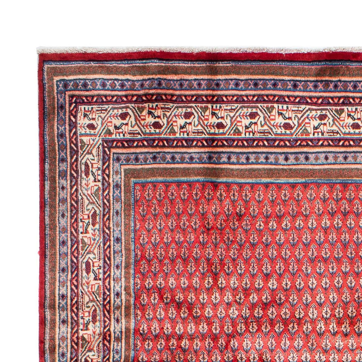 Perser Rug - Mir - 317 x 219 cm - red