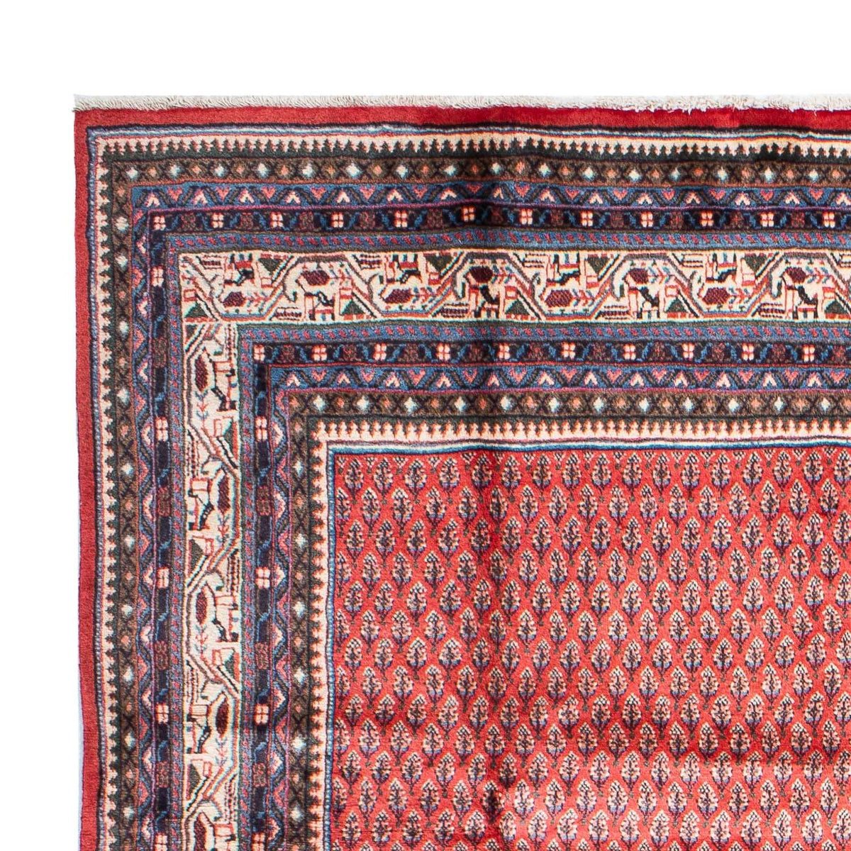 Mir Rug 215x315cm - Persian Rugs