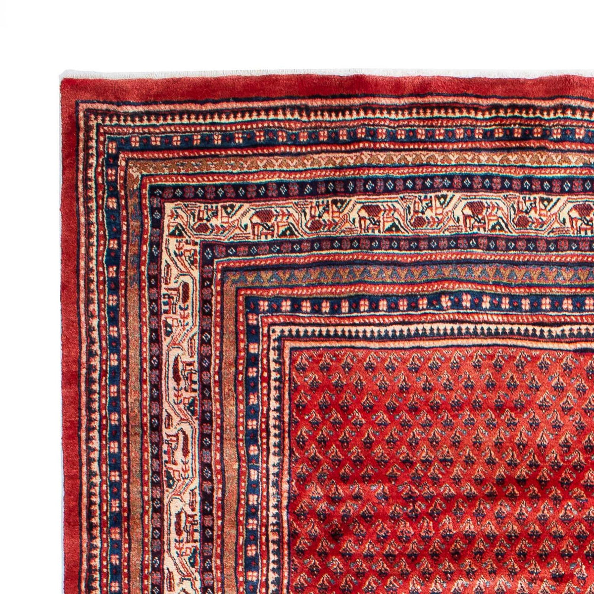 Mir Rug 220x316cm - Persian Rugs