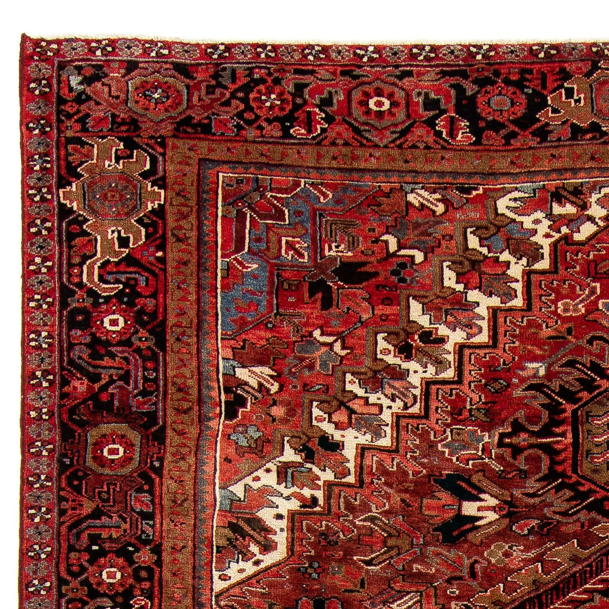 Heriz Rug 295x390cm - Persian Rugs