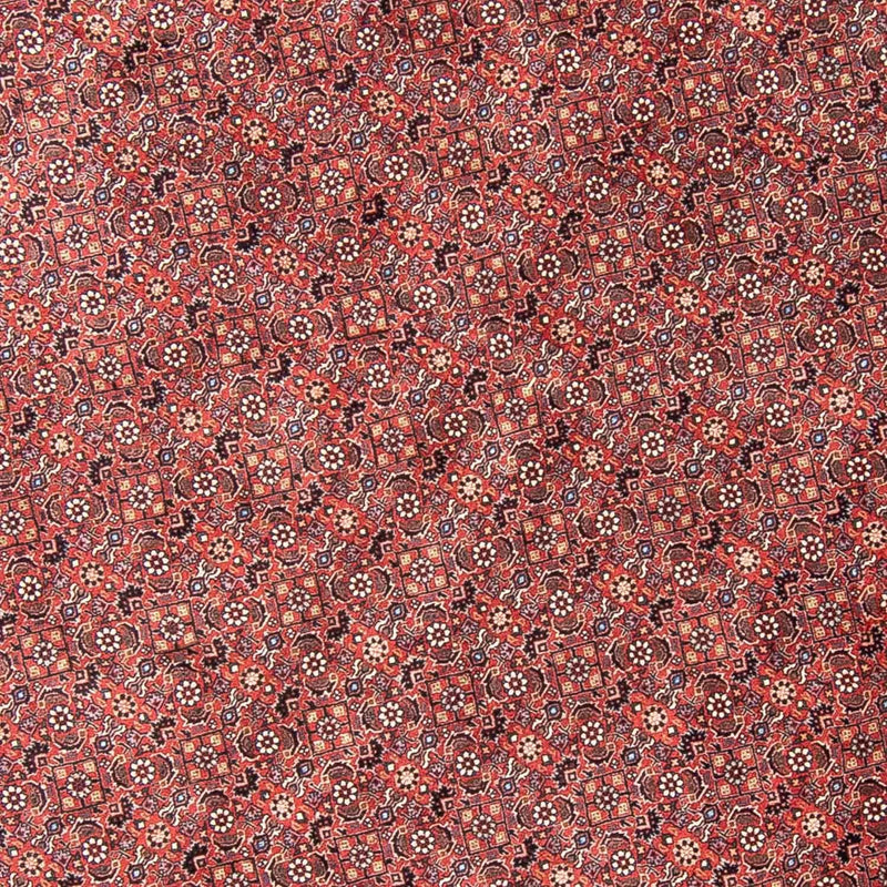 Perser Rug - Bidjar round  - 300 x 300 cm - red