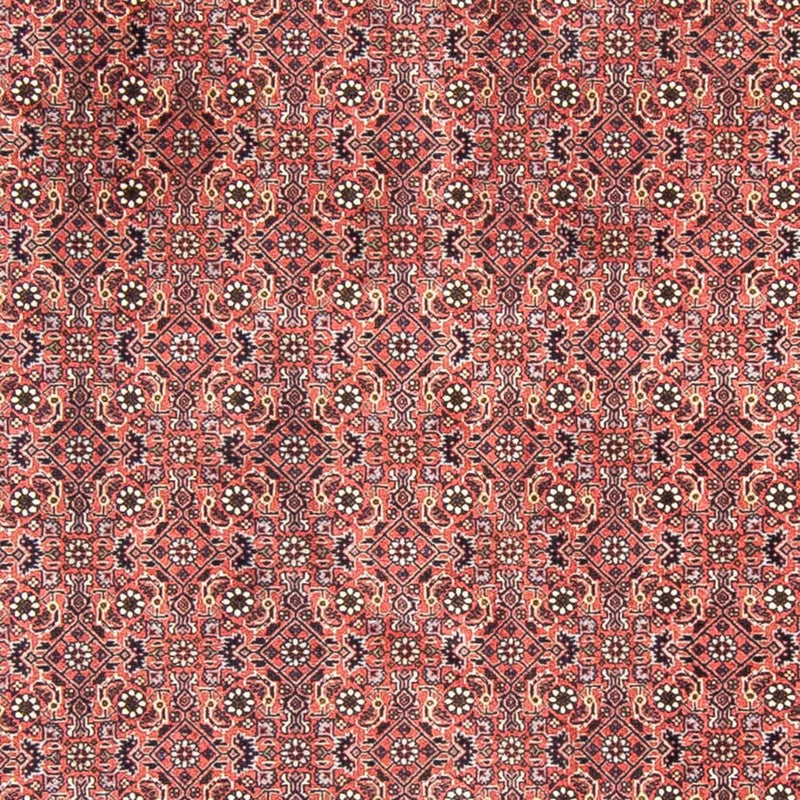 Perser Rug - Bidjar round  - 300 x 300 cm - light red