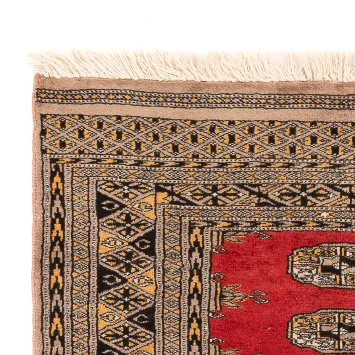 Pakistani Rug 82x124cm - Oriental Rug